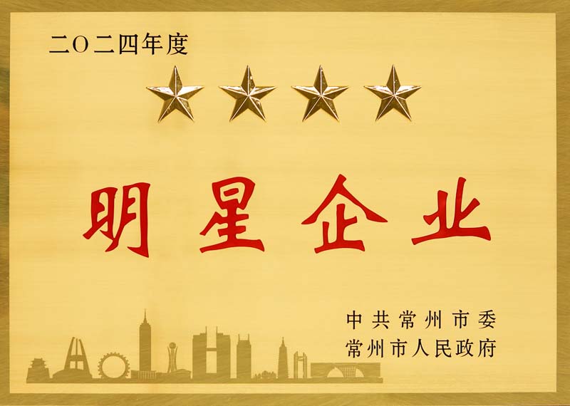 2024年度明星企业